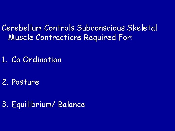 Cerebellum Controls Subconscious Skeletal Muscle Contractions Required For: 1. Co Ordination 2. Posture 3.