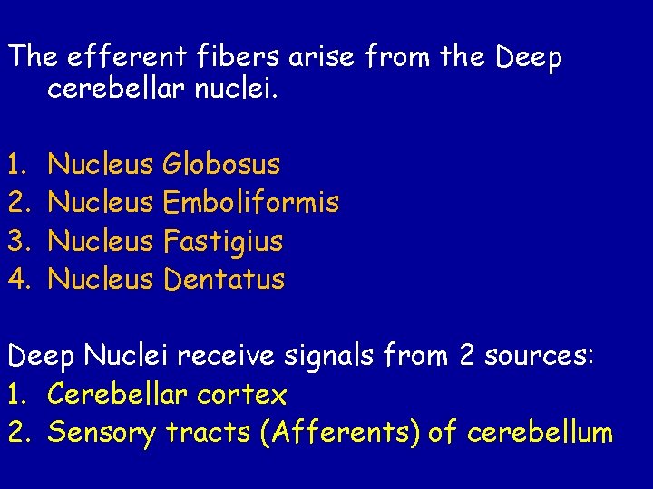 The efferent fibers arise from the Deep cerebellar nuclei. 1. 2. 3. 4. Nucleus