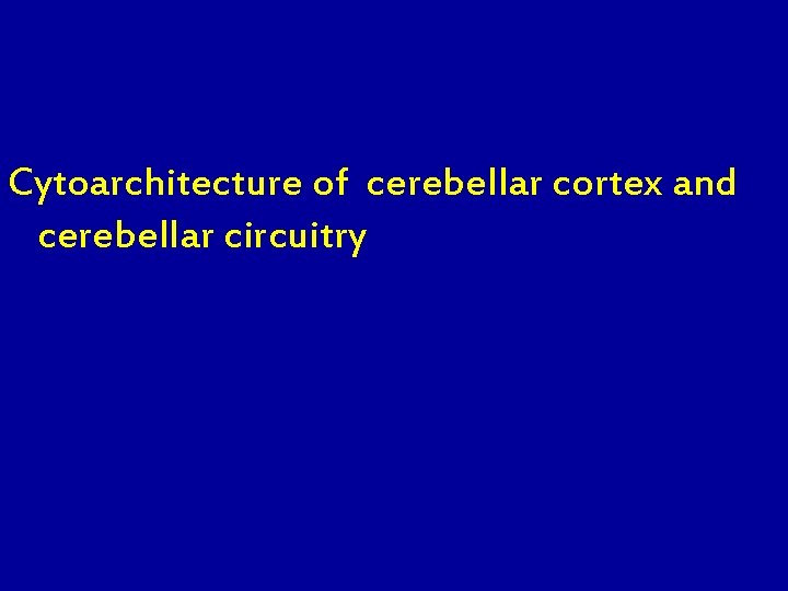 Cytoarchitecture of cerebellar cortex and cerebellar circuitry 