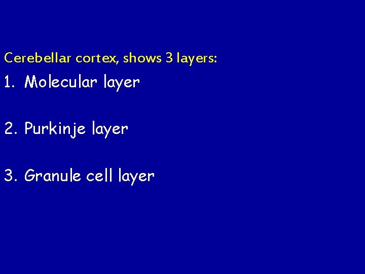 Cerebellar cortex, shows 3 layers: 1. Molecular layer 2. Purkinje layer 3. Granule cell