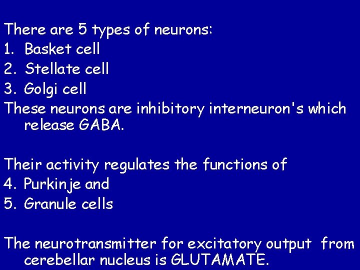 There are 5 types of neurons: 1. Basket cell 2. Stellate cell 3. Golgi