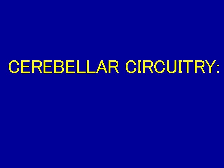 CEREBELLAR CIRCUITRY: 