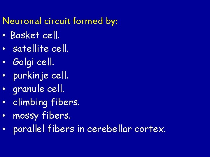 Neuronal circuit formed by: • • Basket cell. satellite cell. Golgi cell. purkinje cell.