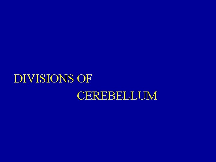 DIVISIONS OF CEREBELLUM 
