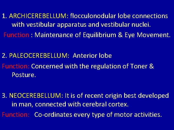 1. ARCHICEREBELLUM: flocculonodular lobe connections with vestibular apparatus and vestibular nuclei. Function : Maintenance