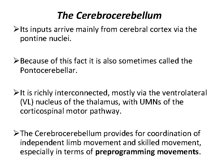 The Cerebrocerebellum ØIts inputs arrive mainly from cerebral cortex via the pontine nuclei. ØBecause