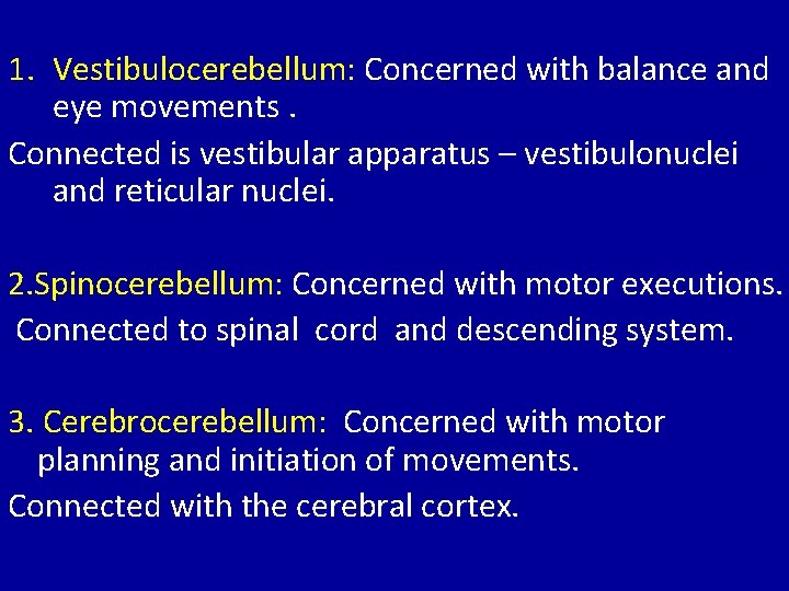 1. Vestibulocerebellum: Concerned with balance and eye movements. Connected is vestibular apparatus – vestibulonuclei