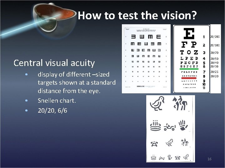 How to test the vision? Central visual acuity • • • display of different