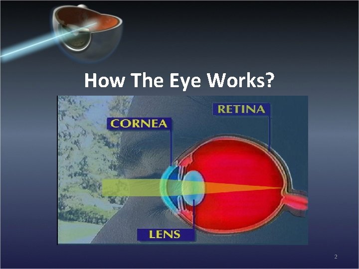 How The Eye Works? 2 