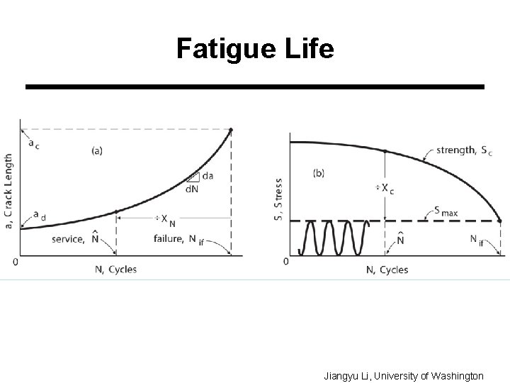 Fatigue Life Jiangyu Li, University of Washington 