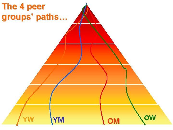 The 4 peer groups’ paths… YW YM OM OW 