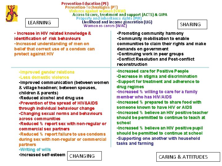 LEARNING Prevention-Education (PE) Prevention-Technologies (PT) Violence against women (VAW) Access to care, treatment and