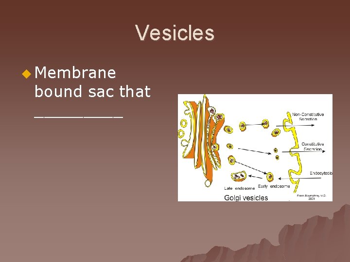 Vesicles u Membrane bound sac that _____ 