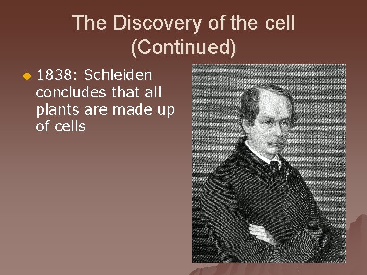 The Discovery of the cell (Continued) u 1838: Schleiden concludes that all plants are