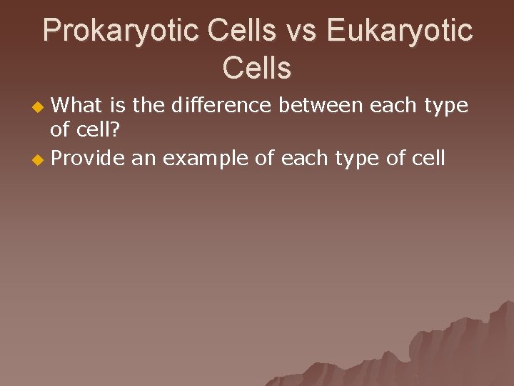 Prokaryotic Cells vs Eukaryotic Cells What is the difference between each type of cell?