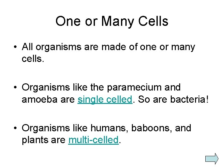 One or Many Cells • All organisms are made of one or many cells.