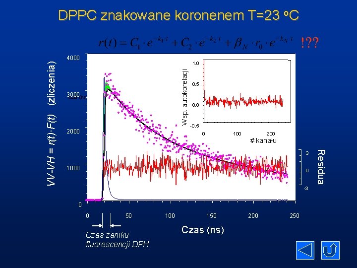 DPPC znakowane koronenem T=23 o. C !? ? c 2 = 1. 00 Wsp.