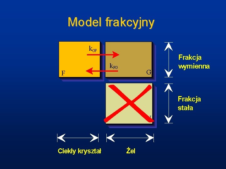 Model frakcyjny k. GF F k. FG G Frakcja wymienna Frakcja stała N Ciekły