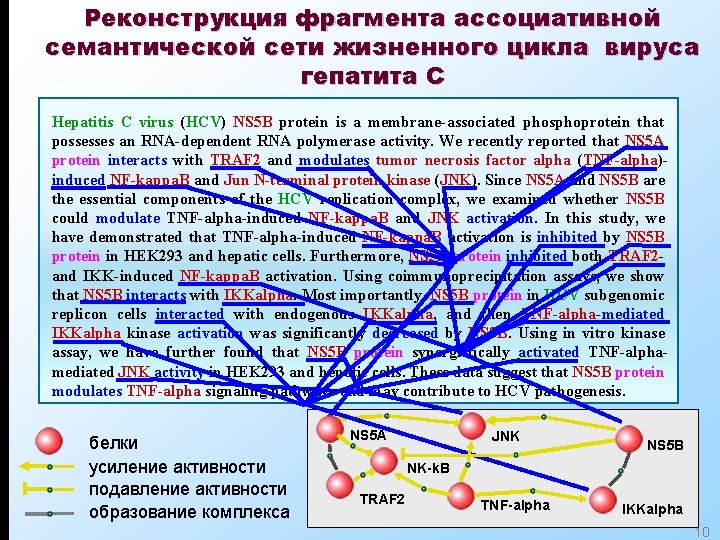 Реконструкция фрагмента ассоциативной семантической сети жизненного цикла вируса гепатита С Hepatitis C virus (HCV)