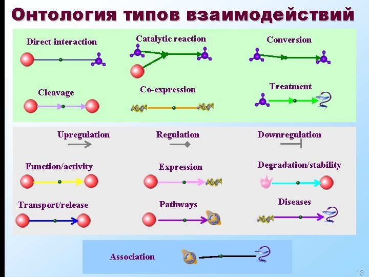 Онтология типов взаимодействий Direct interaction Cleavage Catalytic reaction Co-expression Upregulation Regulation Function/activity Expression Pathways