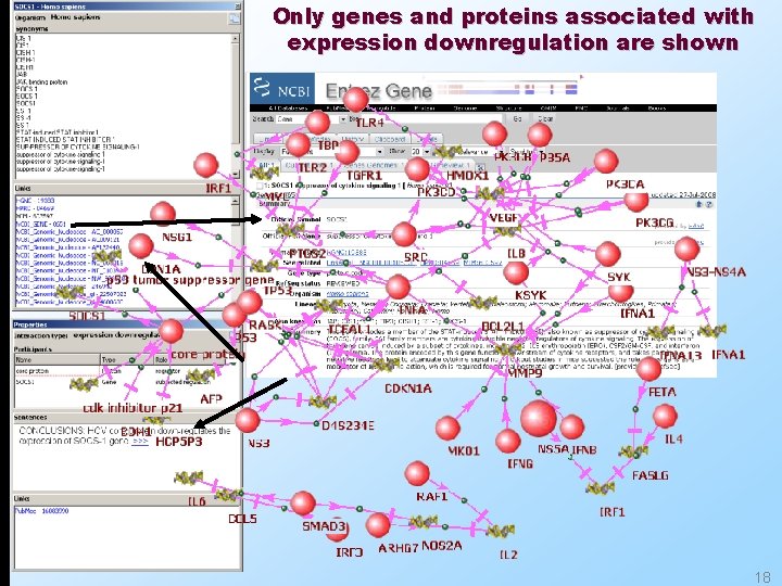 Only genes and proteins associated with expression downregulation are shown 18 