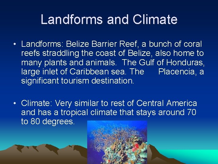 Landforms and Climate • Landforms: Belize Barrier Reef, a bunch of coral reefs straddling