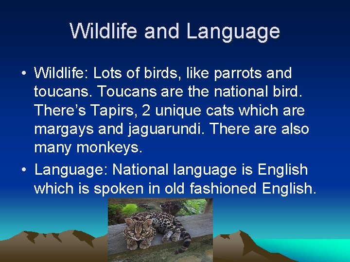 Wildlife and Language • Wildlife: Lots of birds, like parrots and toucans. Toucans are