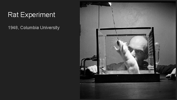 Rat Experiment 1948, Columbia University 