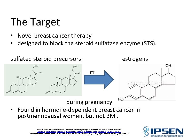 The Target • Novel breast cancer therapy • designed to block the steroid sulfatase
