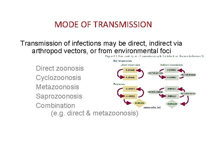 MODE OF TRANSMISSION Transmission of infections may be direct, indirect via arthropod vectors, or