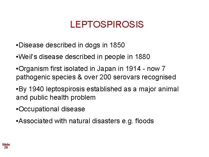 LEPTOSPIROSIS • Disease described in dogs in 1850 • Weil’s disease described in people