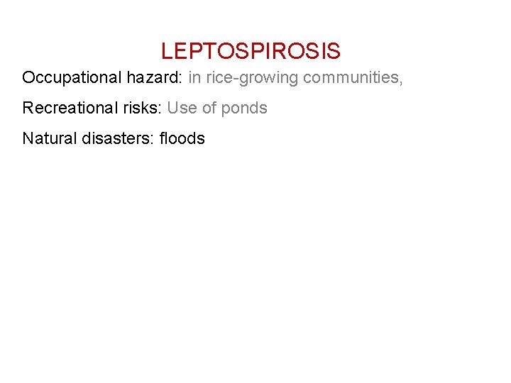 LEPTOSPIROSIS Occupational hazard: in rice-growing communities, Recreational risks: Use of ponds Natural disasters: floods