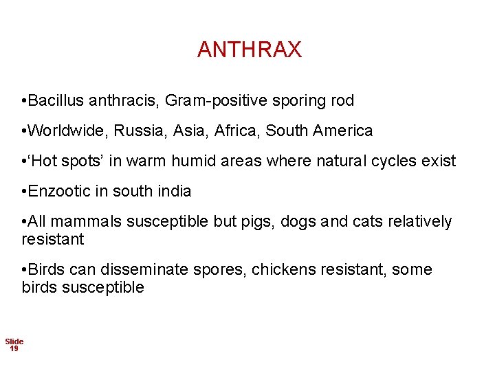 ANTHRAX • Bacillus anthracis, Gram-positive sporing rod • Worldwide, Russia, Africa, South America •