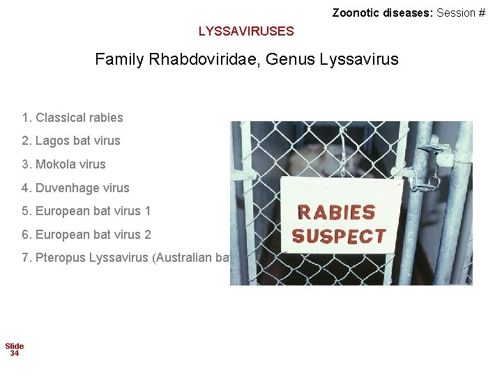 Zoonotic diseases: Session # LYSSAVIRUSES Family Rhabdoviridae, Genus Lyssavirus 1. Classical rabies 2. Lagos