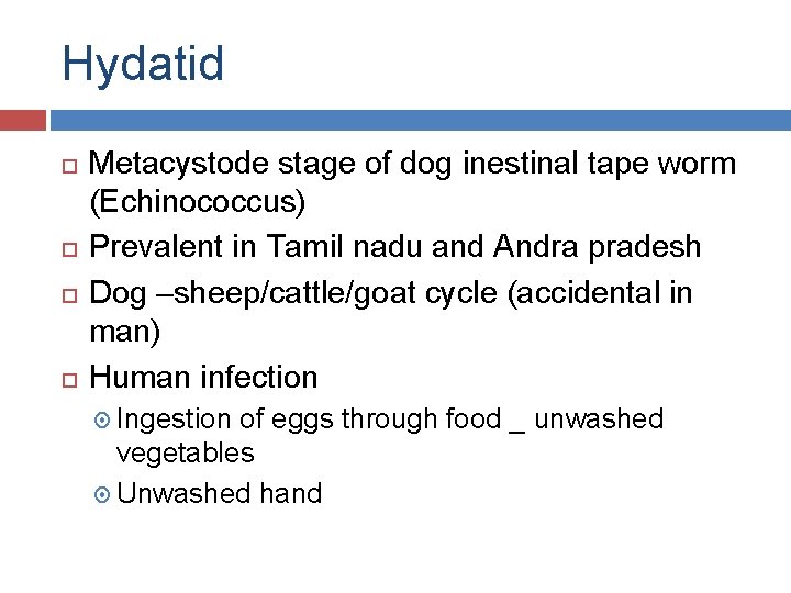 Hydatid Metacystode stage of dog inestinal tape worm (Echinococcus) Prevalent in Tamil nadu and