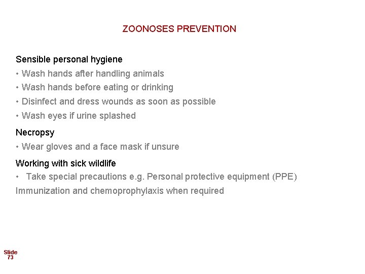 ZOONOSES PREVENTION Sensible personal hygiene • Wash hands after handling animals • Wash hands