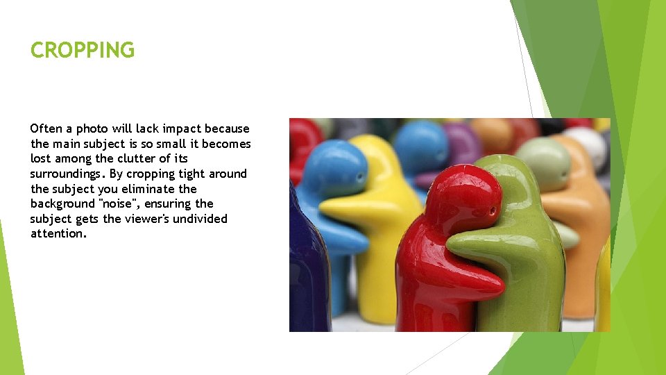 CROPPING Often a photo will lack impact because the main subject is so small