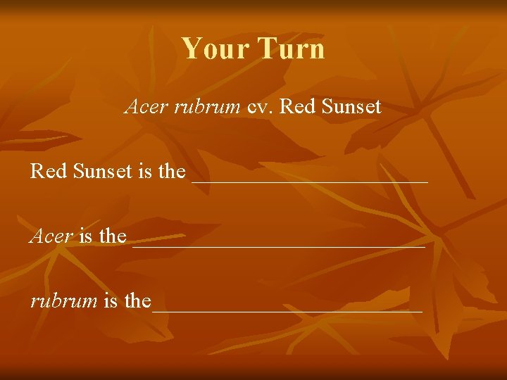 Your Turn Acer rubrum cv. Red Sunset is the ___________ Acer is the _____________