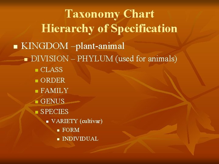 Taxonomy Chart Hierarchy of Specification n KINGDOM –plant-animal n DIVISION – PHYLUM (used for