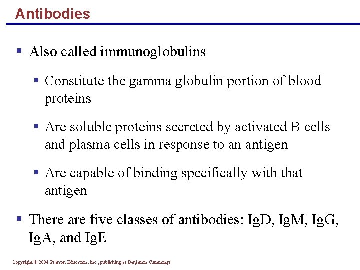 Antibodies § Also called immunoglobulins § Constitute the gamma globulin portion of blood proteins