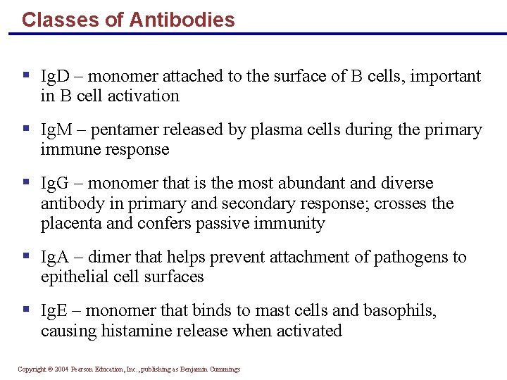 Classes of Antibodies § Ig. D – monomer attached to the surface of B