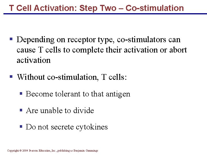 T Cell Activation: Step Two – Co-stimulation § Depending on receptor type, co-stimulators can