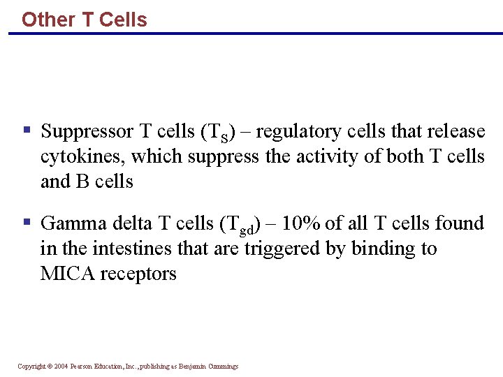 Other T Cells § Suppressor T cells (TS) – regulatory cells that release cytokines,