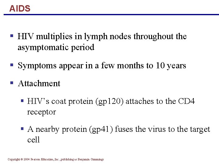 AIDS § HIV multiplies in lymph nodes throughout the asymptomatic period § Symptoms appear