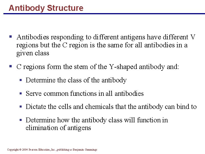Antibody Structure § Antibodies responding to different antigens have different V regions but the