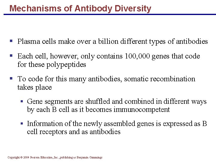 Mechanisms of Antibody Diversity § Plasma cells make over a billion different types of