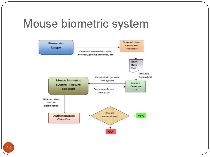 Mouse biometric system 13 