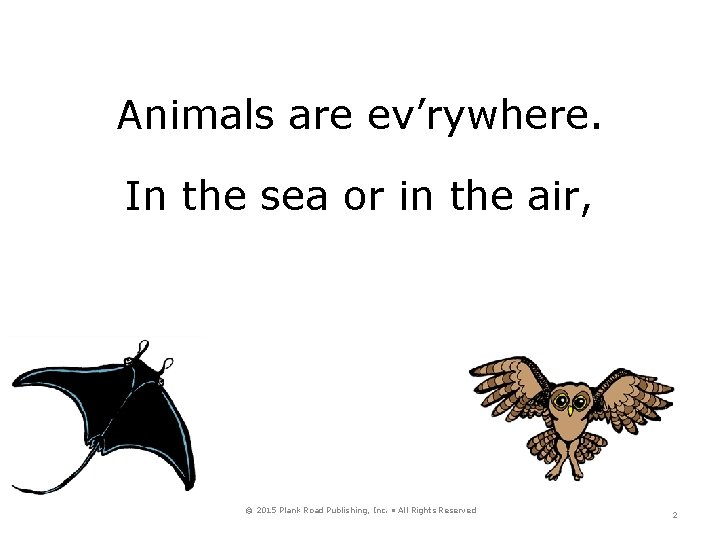 Animals are ev’rywhere. In the sea or in the air, © 2015 Plank Road