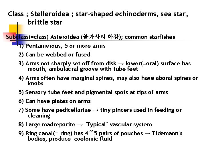 Class ; Stelleroidea ; star-shaped echinoderms, sea star, brittle star Subclass(=class) Asteroidea (불가사리 아강);