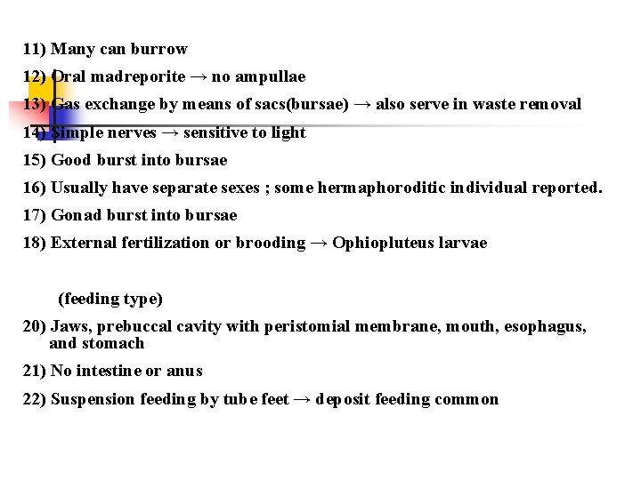 11) Many can burrow 12) Oral madreporite → no ampullae 13) Gas exchange by